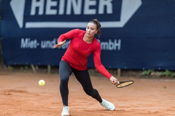 Bild 553 - BL DTV Hannover - BW Dresden Blasewitz : Ergebnis: 2:7